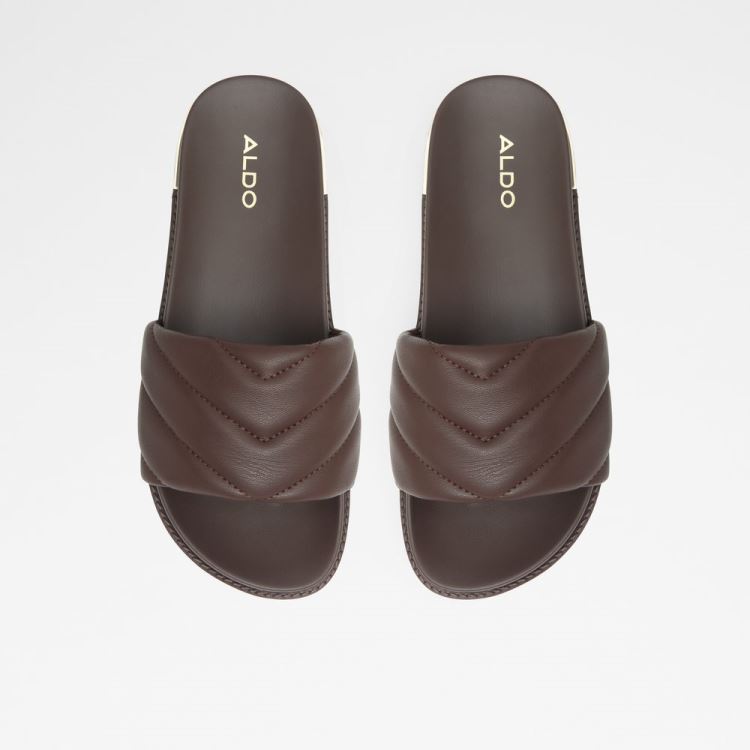 Dark Brown Aldo Acaswen Women's Slippers | rpydRty1