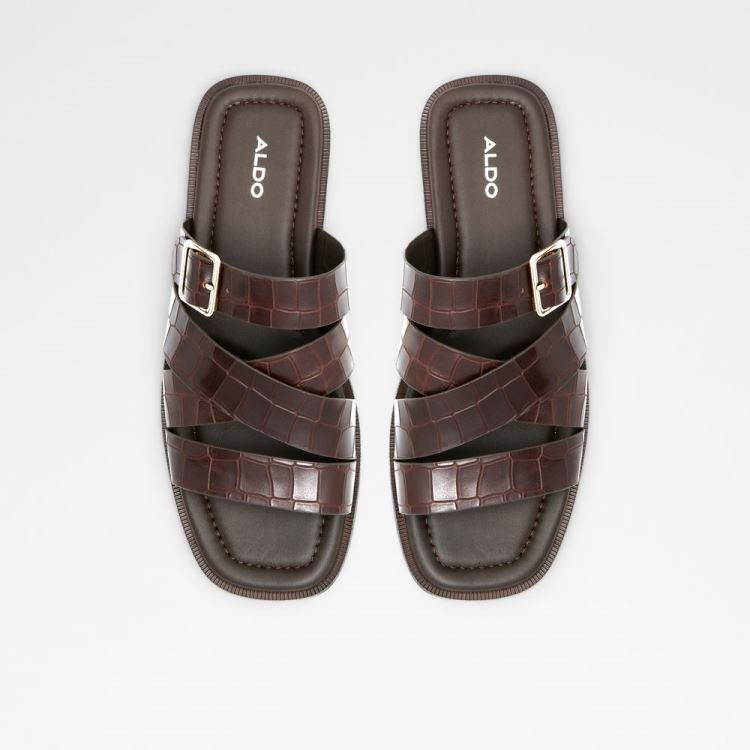 Dark Brown Aldo Dampel Men's Sandals | 1O77PrM6