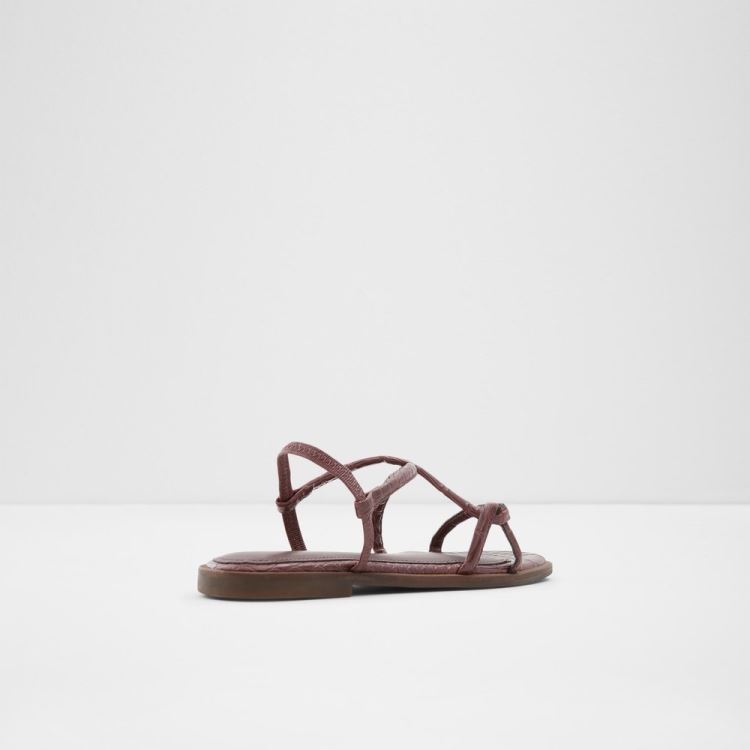 Dark Brown Aldo Toosieflex Women's Flat Sandals | 0TJe4poe