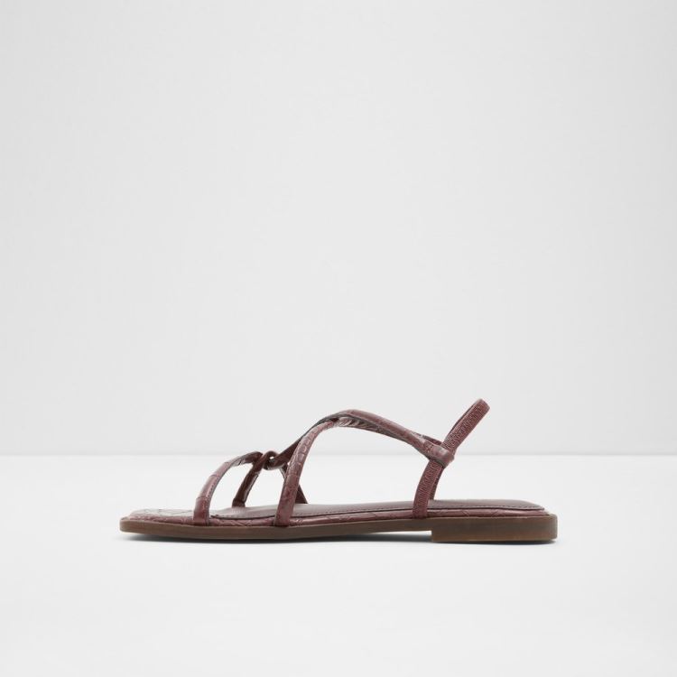 Dark Brown Aldo Toosieflex Women's Flat Sandals | 0TJe4poe