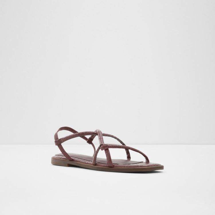 Dark Brown Aldo Toosieflex Women's Flat Sandals | 0TJe4poe