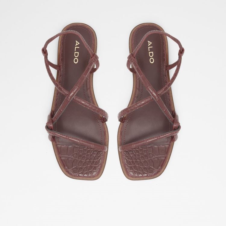 Dark Brown Aldo Toosieflex Women's Flat Sandals | 0TJe4poe