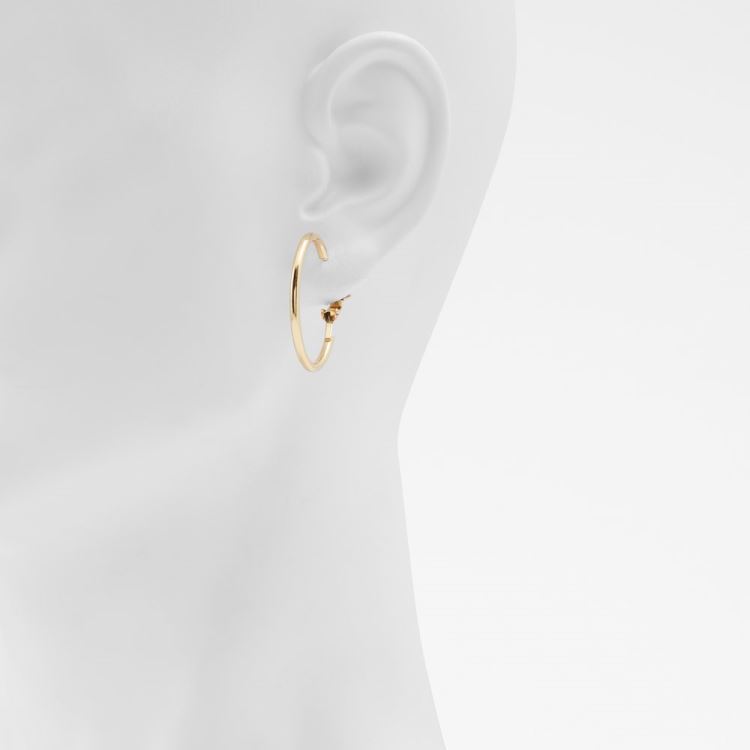 Gold Aldo Aceassa Women's Earrings | HuahlWQh