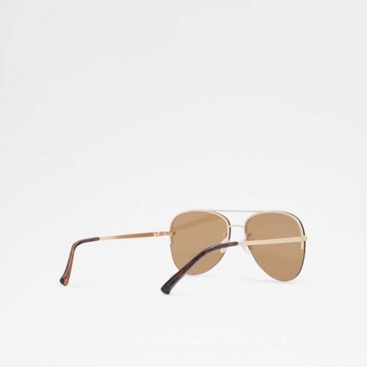 Gold Aldo Ascaride Men's Sunglasses | kqkbf6cS