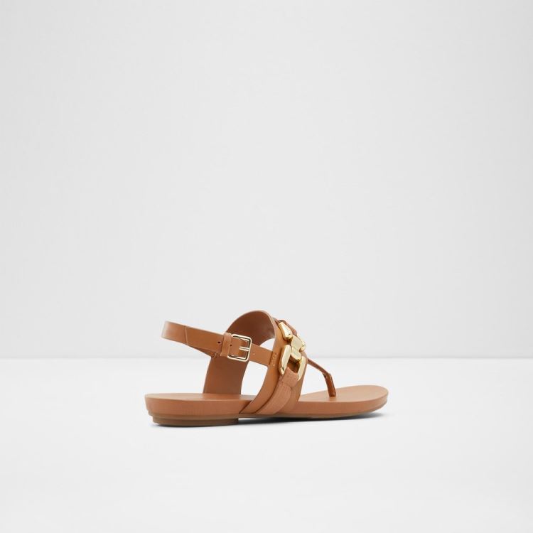 Medium Brown Aldo Gannamaryn Women's Flat Sandals | 148JNZ3E