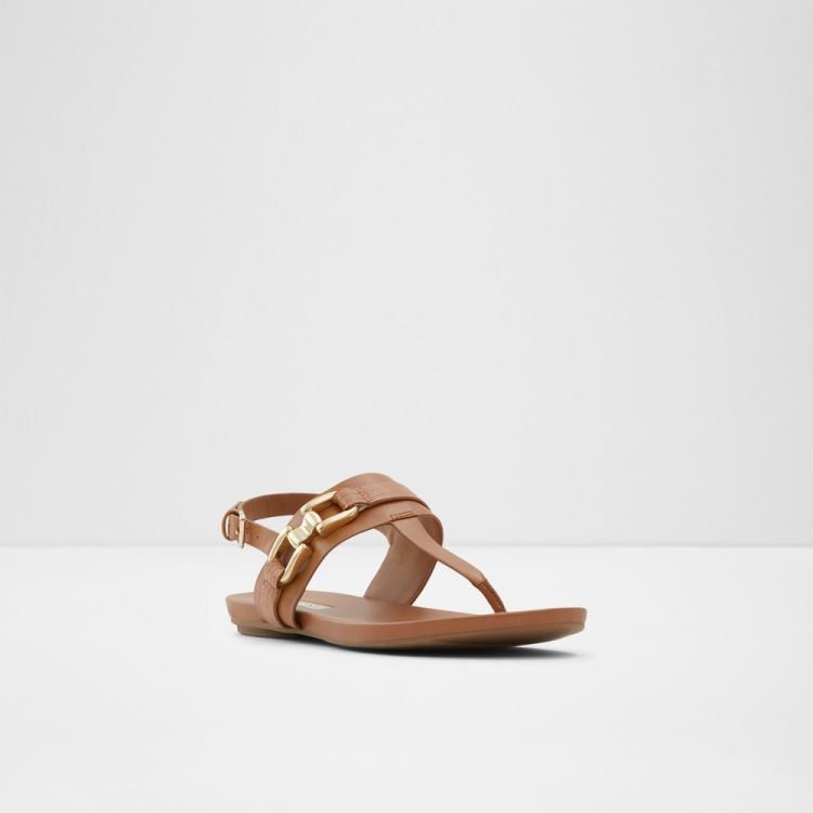 Medium Brown Aldo Gannamaryn Women's Flat Sandals | 148JNZ3E