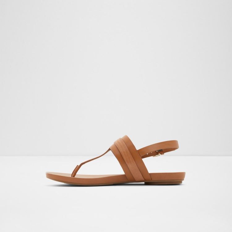 Medium Brown Aldo Gannamaryn Women's Sandals | 6yZuqHtT