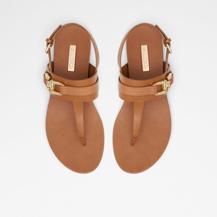 Medium Brown Aldo Gannamaryn Women's Sandals | 6yZuqHtT