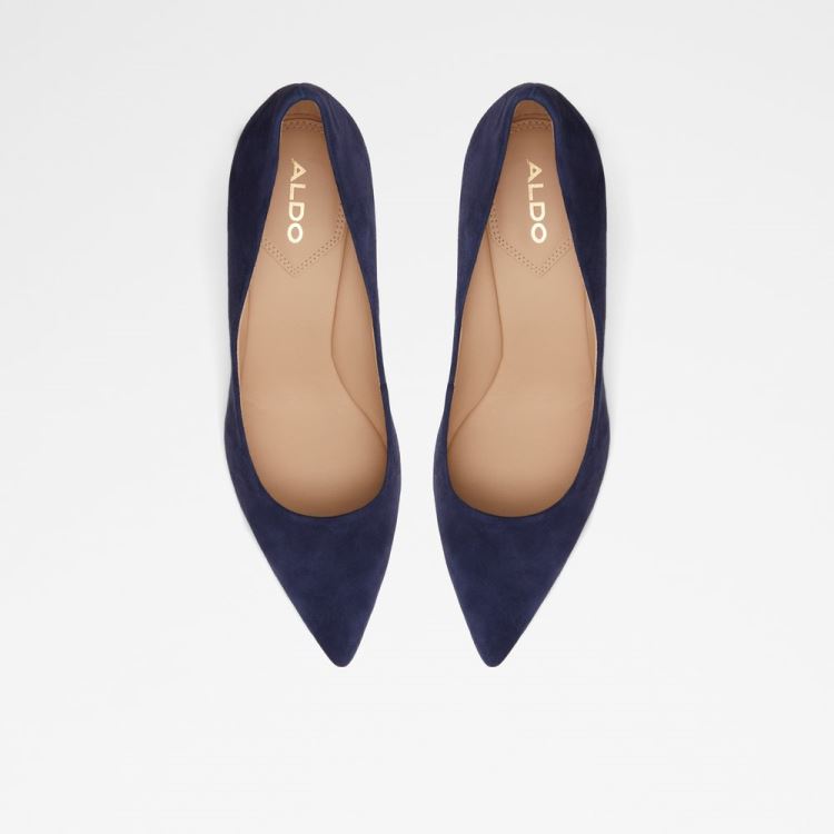 Navy Aldo Seirith Women's Pumps | Xsdssnlc